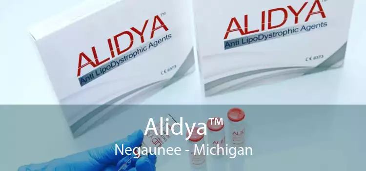 Alidya™ Negaunee - Michigan