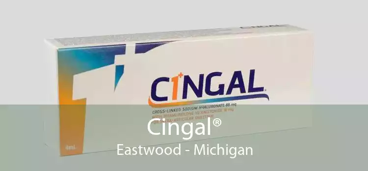 Cingal® Eastwood - Michigan