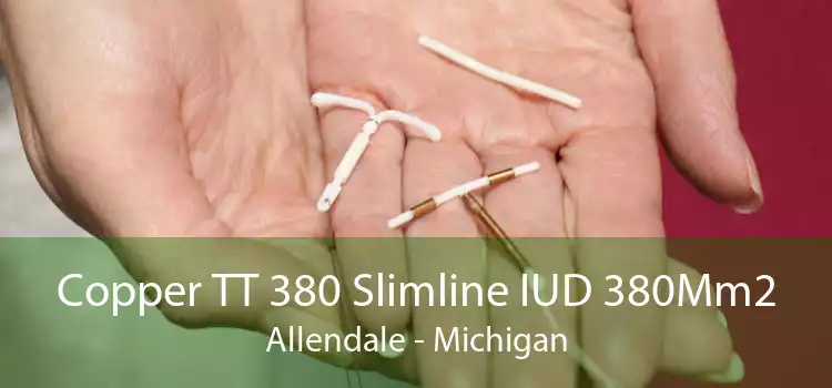 Copper TT 380 Slimline IUD 380Mm2 Allendale - Michigan