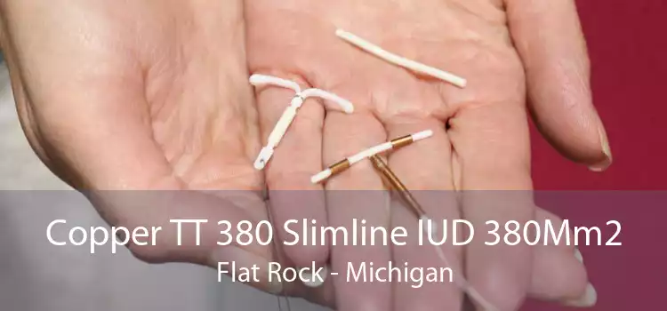 Copper TT 380 Slimline IUD 380Mm2 Flat Rock - Michigan