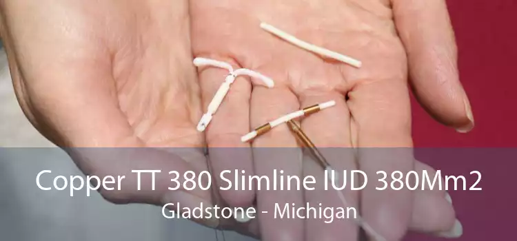 Copper TT 380 Slimline IUD 380Mm2 Gladstone - Michigan