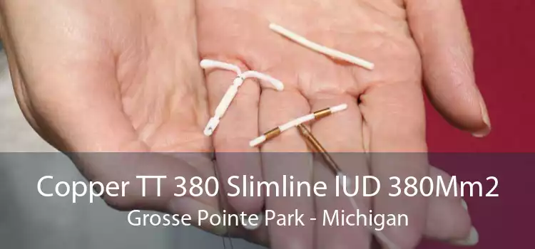Copper TT 380 Slimline IUD 380Mm2 Grosse Pointe Park - Michigan