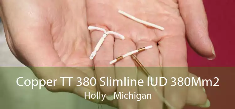 Copper TT 380 Slimline IUD 380Mm2 Holly - Michigan