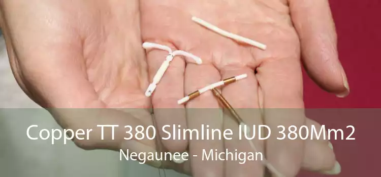Copper TT 380 Slimline IUD 380Mm2 Negaunee - Michigan
