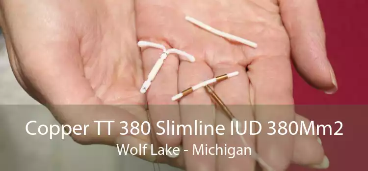 Copper TT 380 Slimline IUD 380Mm2 Wolf Lake - Michigan