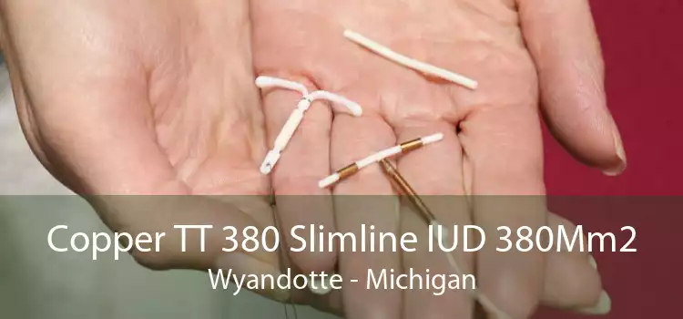 Copper TT 380 Slimline IUD 380Mm2 Wyandotte - Michigan