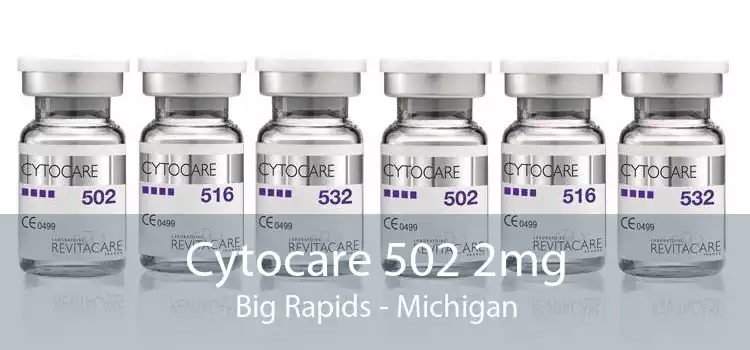 Cytocare 502 2mg Big Rapids - Michigan