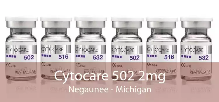 Cytocare 502 2mg Negaunee - Michigan