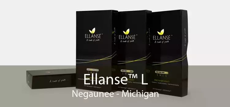 Ellanse™ L Negaunee - Michigan