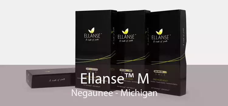 Ellanse™ M Negaunee - Michigan