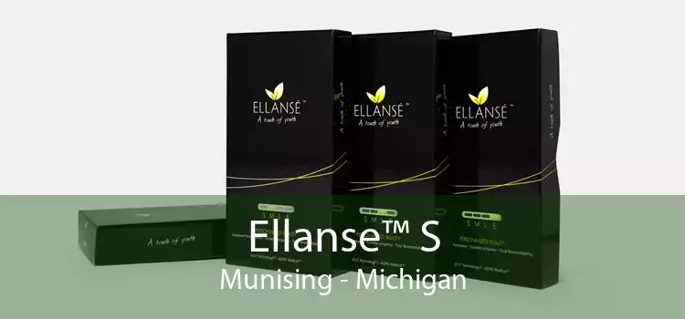 Ellanse™ S Munising - Michigan