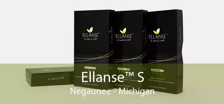 Ellanse™ S Negaunee - Michigan