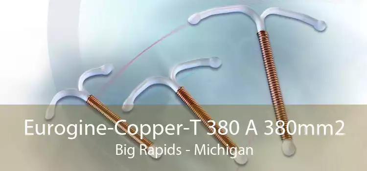 Eurogine-Copper-T 380 A 380mm2 Big Rapids - Michigan