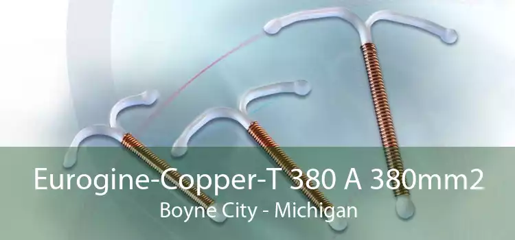 Eurogine-Copper-T 380 A 380mm2 Boyne City - Michigan
