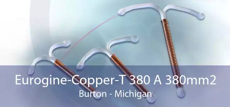 Eurogine-Copper-T 380 A 380mm2 Burton - Michigan
