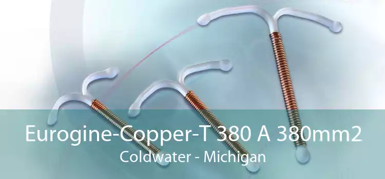 Eurogine-Copper-T 380 A 380mm2 Coldwater - Michigan