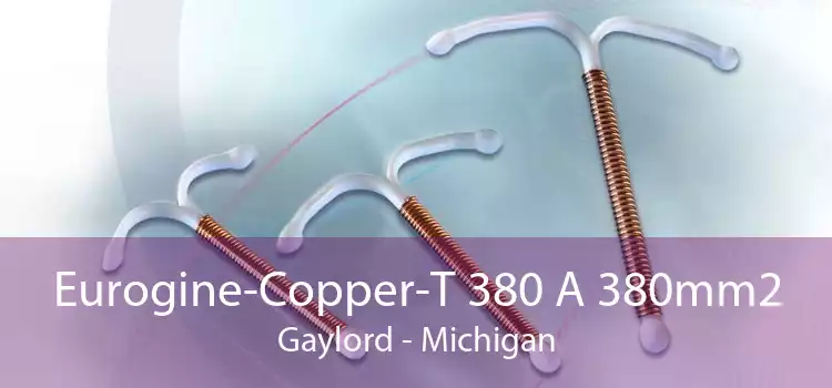 Eurogine-Copper-T 380 A 380mm2 Gaylord - Michigan
