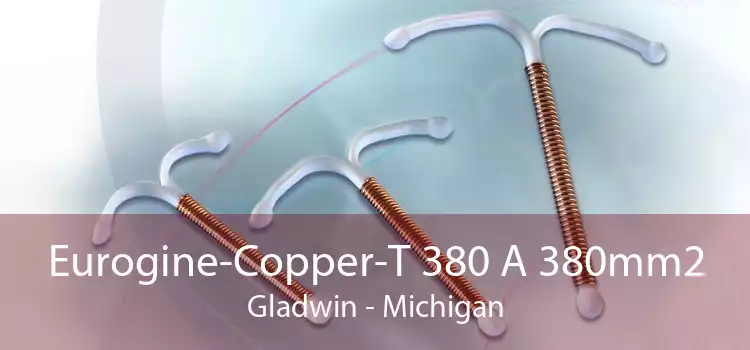 Eurogine-Copper-T 380 A 380mm2 Gladwin - Michigan