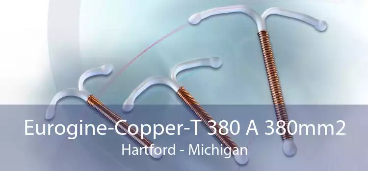 Eurogine-Copper-T 380 A 380mm2 Hartford - Michigan