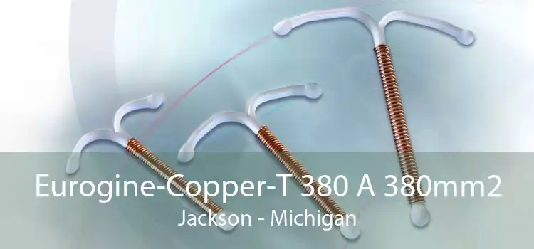 Eurogine-Copper-T 380 A 380mm2 Jackson - Michigan