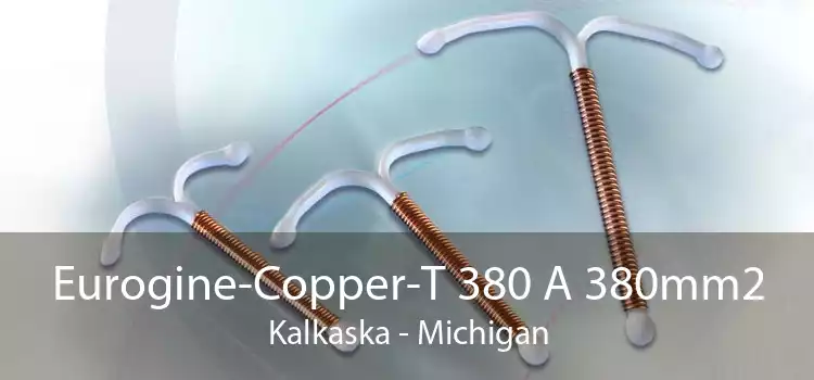 Eurogine-Copper-T 380 A 380mm2 Kalkaska - Michigan