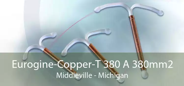 Eurogine-Copper-T 380 A 380mm2 Middleville - Michigan
