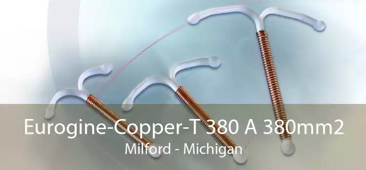 Eurogine-Copper-T 380 A 380mm2 Milford - Michigan