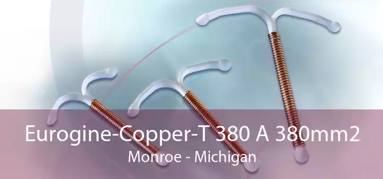 Eurogine-Copper-T 380 A 380mm2 Monroe - Michigan