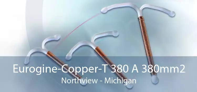Eurogine-Copper-T 380 A 380mm2 Northview - Michigan
