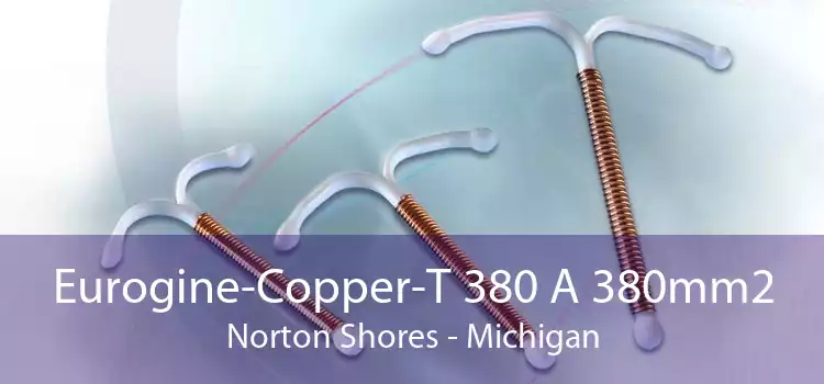 Eurogine-Copper-T 380 A 380mm2 Norton Shores - Michigan