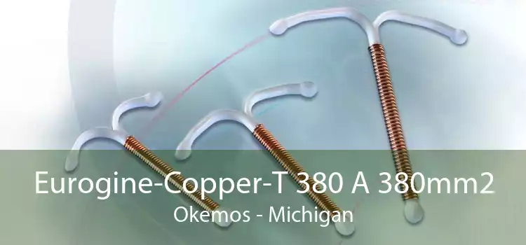 Eurogine-Copper-T 380 A 380mm2 Okemos - Michigan