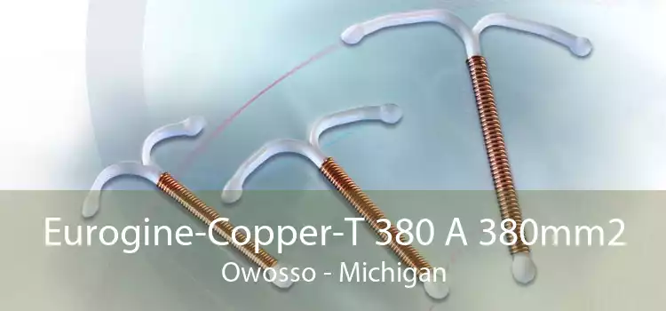 Eurogine-Copper-T 380 A 380mm2 Owosso - Michigan