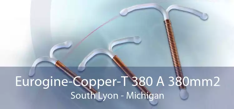 Eurogine-Copper-T 380 A 380mm2 South Lyon - Michigan
