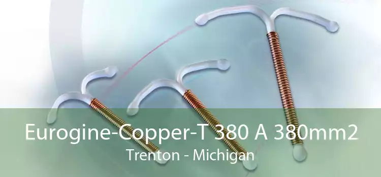 Eurogine-Copper-T 380 A 380mm2 Trenton - Michigan