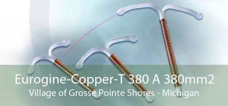 Eurogine-Copper-T 380 A 380mm2 Village of Grosse Pointe Shores - Michigan