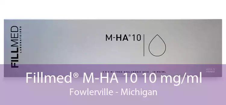 Fillmed® M-HA 10 10 mg/ml Fowlerville - Michigan