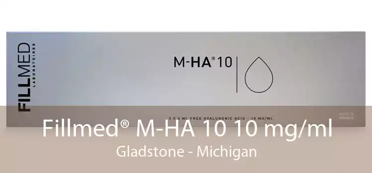 Fillmed® M-HA 10 10 mg/ml Gladstone - Michigan