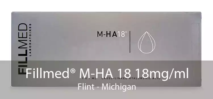 Fillmed® M-HA 18 18mg/ml Flint - Michigan