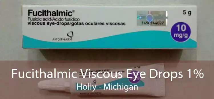 Fucithalmic Viscous Eye Drops 1% Holly - Michigan