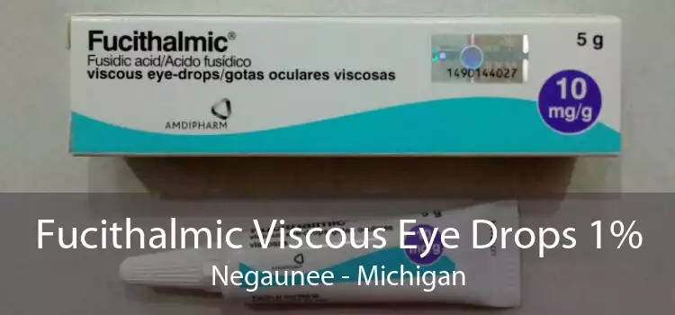 Fucithalmic Viscous Eye Drops 1% Negaunee - Michigan