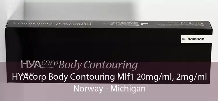 HYAcorp Body Contouring Mlf1 20mg/ml, 2mg/ml Norway - Michigan