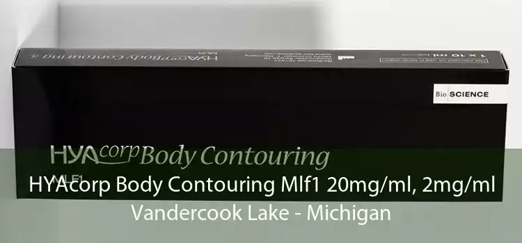 HYAcorp Body Contouring Mlf1 20mg/ml, 2mg/ml Vandercook Lake - Michigan