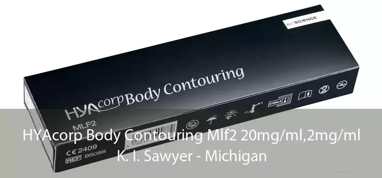 HYAcorp Body Contouring Mlf2 20mg/ml,2mg/ml K. I. Sawyer - Michigan