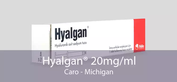 Hyalgan® 20mg/ml Caro - Michigan