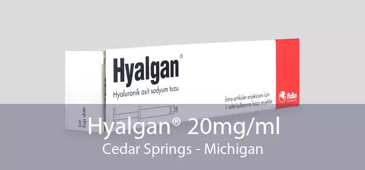 Hyalgan® 20mg/ml Cedar Springs - Michigan