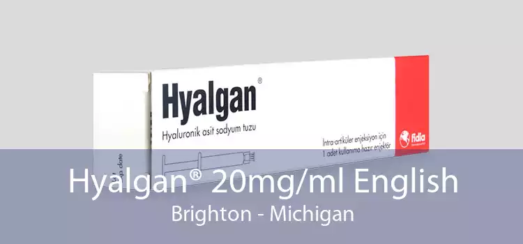 Hyalgan® 20mg/ml English Brighton - Michigan