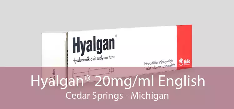 Hyalgan® 20mg/ml English Cedar Springs - Michigan
