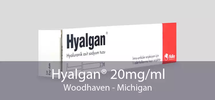 Hyalgan® 20mg/ml Woodhaven - Michigan
