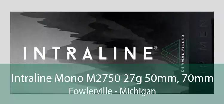 Intraline Mono M2750 27g 50mm, 70mm Fowlerville - Michigan