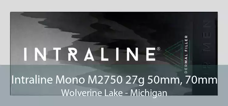 Intraline Mono M2750 27g 50mm, 70mm Wolverine Lake - Michigan